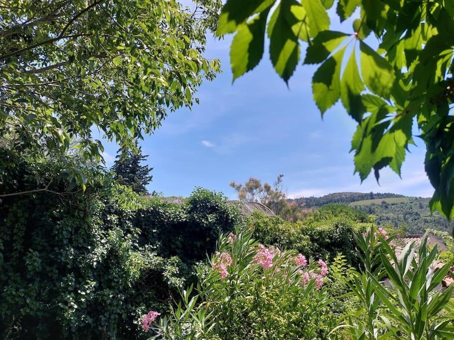 Vue De Rennes-Le-Chateau Couiza Екстер'єр фото